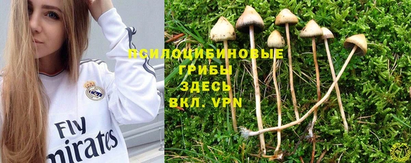 СК Богородицк